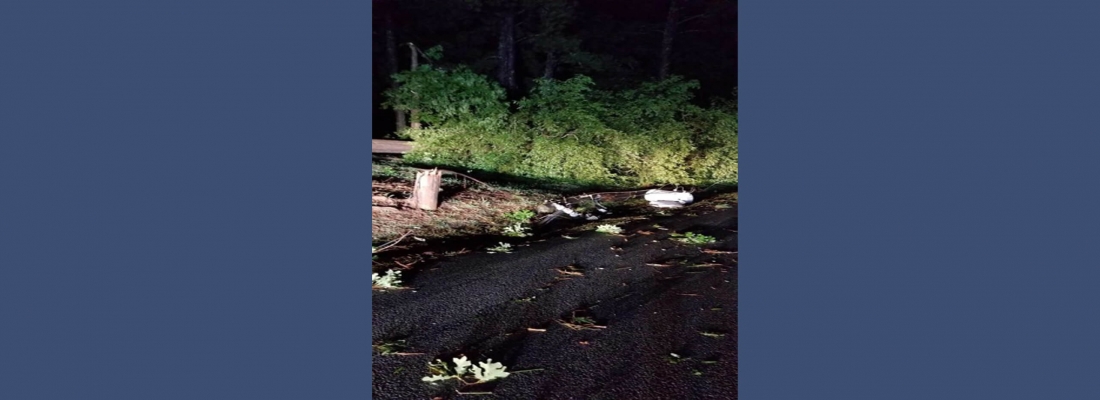 Storms Cause Widespread Power Outages Downed Power Lines And Trees